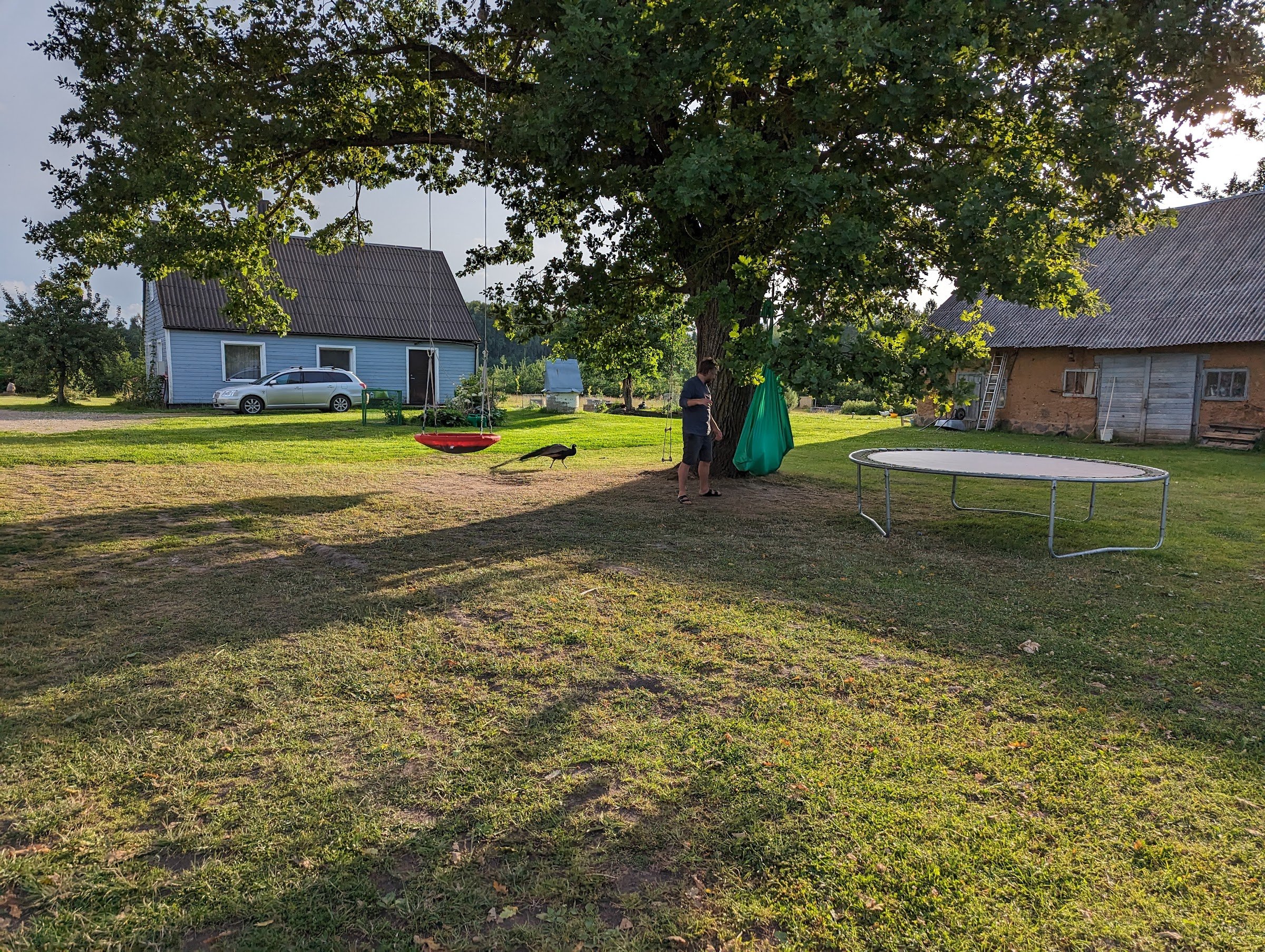 Nature pocket (Gamtos kišenėje)